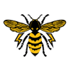 Logo Elektro Yellowjacket