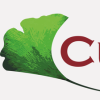 Logo Curatus wir pflegen GmbH