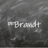 Logo Dr. Brandt Recruiting GmbH