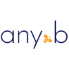 Logo any.b Consulting GmbH