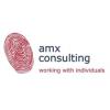 Logo amx consulting