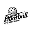 Logo Floorball Schriesheim