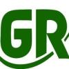 Logo Garten- Landschaftsbau Grün GbR