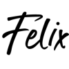 Logo Team Felix
