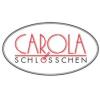 Logo Saxonn GmbH c/o Carolaschlösschen