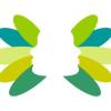 Logo Psychologische Praxis Aachen