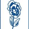 Logo Akkus Blumen & Pflanzen Im- Export GmbH