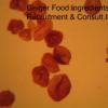 Logo Geiger Food Ingredients Recruitment & Consult.Ing