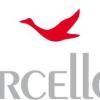Logo MARCELLO C