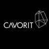 Logo Cavorit Consulting GmbH