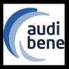 Logo audibene GmbH