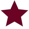 Logo Star - Soziale Teilhabe, Arbeit & Rehabilitation gGmbH