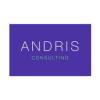 Logo Andris Consulting GmbH
