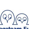 Logo Pflegeteam Eule GmbH