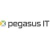 Logo Pegasus GmbH