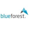 Logo blueforest Design . Medien e.K.