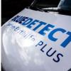 Logo Blue Detect Coburg