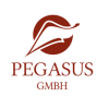Logo Pegasus GmbH Gesellschaft für soziale/gesundheitliche Innovation