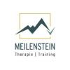 Logo Meilenstein Therapie und Training GmbH & Co. KG